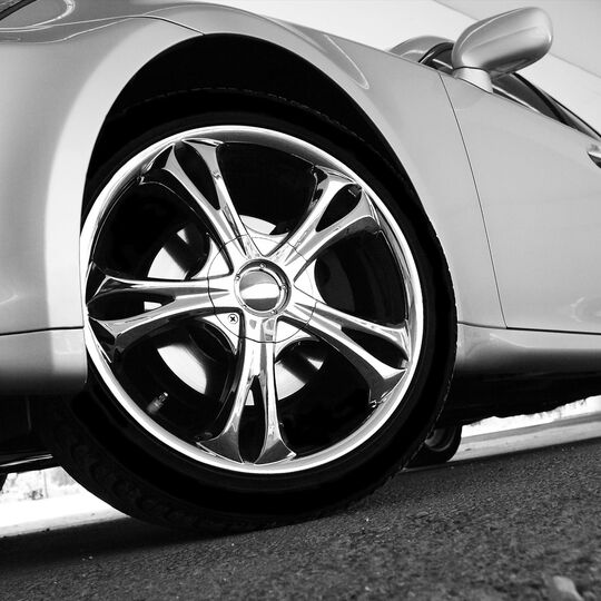 AdobeStock_31842115